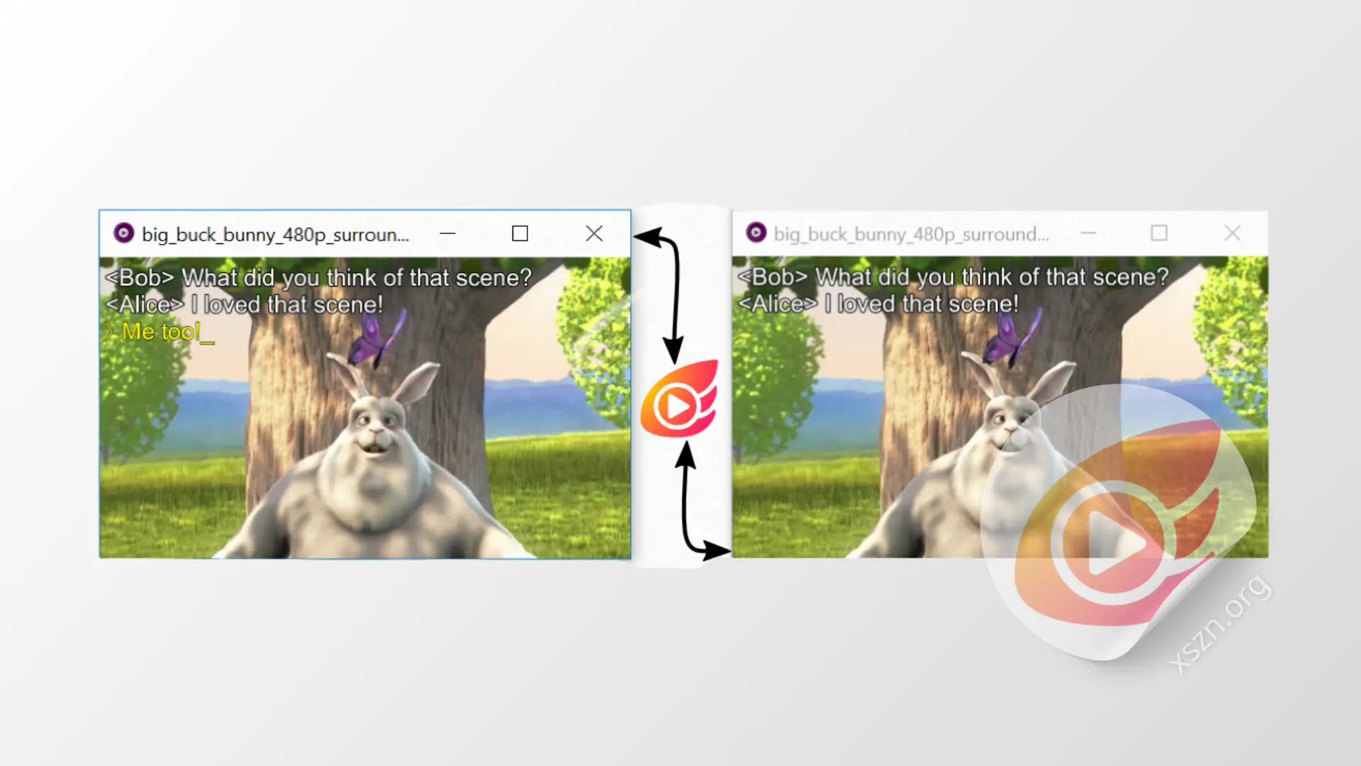 “Syncplay”屏幕截图
